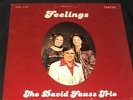 THE DAVID FAUSS TRIO LP PRIVATE XIAN CHRISTIAN FOLK STRANGE WEIRD COVER