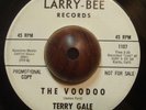 Garage Mod Fuzz 45 TERRY GALE The Voo Doo / Just 15 LARRY BEE Promo
