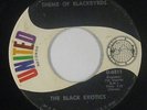 Funk/Deep Soul 45 - Black Exotics - Theme Of Blackbyrds - United - mp3