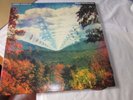 LP PSYCH TAME IMPALA-INNERSPEAKER 1st MODULAR press 2LP 45 RPM LIMITED EDITION