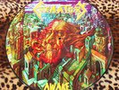 CREMATORY Awake Picture LP