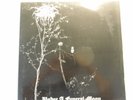 Darkthrone Under a Funeral Moon vinyl LP 1993 Peaceville records