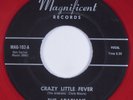 R&B Doo-Wop Popcorn 45 ARABIANS Crazy Little Fever MAGNIFICENT HEAR red wax