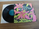 THE GOLDEN DAWN POWER PLANT LP RARE INTERNATIONAL ARTIST IN MINT CONDITION