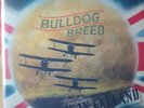BULLDOG BREED-Made in England +Single