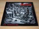 LP Merciless Black Vinyl The Awakening top inkl Poster A2