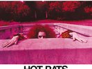 Hot Rats - Frank Zappa 824302384114 (Vinyl Used Like New)