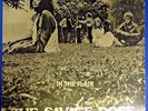 Savage Rose- In the Plain on Polydor (UK) 184 206 , LP VG+, cover VG+