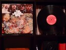 The Byrds - Greatest Hits ? RARE 1967 Mono 1st Press LP 178th Best Album Ever  ?