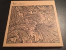 Bon Iver SIGNED limited release copy of For Emma Forever Ago - RARE