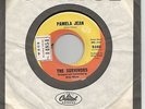 Surf The Survivors (Brian Wilson) 