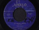 OPALS: My Heart's Desire / Oh But She Did 45 (lbl wear, wol, plays remarkably w
