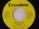 FREEDOM: Can't You See / Sunshine 45 Hear  rare Soul