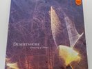 DESERTSHORE Drawing Of Threes LP ORANGE VINYL mark kozelek.sun kil moon LTD 500