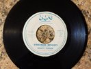 MIGHTY TERROR STEELBAND BOYCOTT/DON'T CHANGE CALYPSO RARE CALYPSO MNE 45RPM.1979