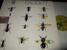 SYD BARRETT : SAME AUDIOPHILE 180 GRAM LP 1997 EMI 100 UK