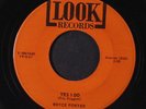 ROYCE PORTER: Yes I Do / Our Perfect Romance 45 Hear  (sm tol) rare Rockabilly