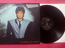 Fancy-Flames Of Love/LP/Italo Disco