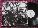 JEFF LIBERMAN Synergy Vintage Re LP Acid-Folk Masterpiece Rare