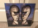 Pink Floyd - The Division Bell - Blue Marble Clear Import RE Vinyl LP