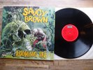 Savoy Brown - Looking in 1970 LP German Royal Sound NM Lam. Gatefold SLK 1677-P