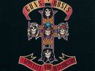Guns N' Roses Appetite for Destruction Vinyl New
