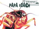 Papa Roach - Infest