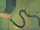 DEAD CAN DANCE - SERPENT'S EGG NEW VINYL