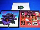 THIN LIZZY  -  BLACK ROSE  LP -   GER. 1ST.  PRESS.  TOP CONDITION RARE