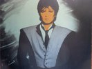 LP -  FANCY  = FLAMES OF LOVE .........................................1988