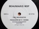 The Delegates Beaumaris Bop 7