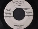 DEL RAYS: Have A Heart / Around The Corner 45 (dj) Vocal Groups