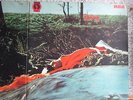 Spring - Neon - LP - RAR