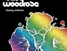 BABY WOODROSE - Chasing Rainbows Lp Mint 1st Pressing Never Played Garage Acid