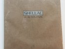 At Action Park [LP] by Shellac (Vinyl, Oct-1994, Touch & Go)