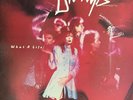 DIVINYLS What A Life LP with Inner sleeve. Excellent Condition