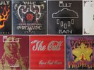 THE CULT 12