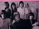 Simply Vinyl - Surrealistic Pillow