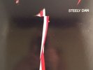 STEELY DAN 