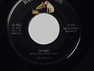 SCARCE ROCKABILLY 45 - RIC CARTEY MY BABE / MELLOW DOWN EASY 1957 RCA #7011 - NM
