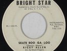 Northern Soul 45 - Ricky Allen - Skate Boo-Ga-Loo - Bright Star - mp3