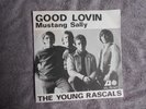 The Young Rascals - good lovin (  sweden sixties )