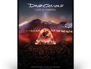 DAVID GILMOUR 2017 PINK FLOYD LIVE AT POMPEII limited Lithograph poster no.308