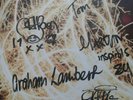 inspiral carpets vinyl, signed