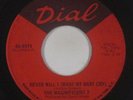 Northern Soul 45 - Magnificent 7 - Never Will I (Make My Baby Cry) - Dial - mp3