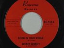 Sweet Soul/Funk 45 - Mickey Worley - Room In Your World - Rowena - mp3 unknown?