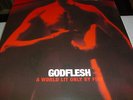 Godflesh - A World Lit Only By Fire - LP Vinyl ///// Neu & OVP