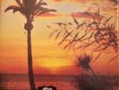 RARE FUNK SOUL REGGAE JEMAA SUNSET ORIGINAL FRENCH PRIVATE PRESS 1984