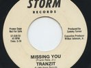 Hear - Rare Boogie Disco 45 - Tranzit - Missing You - Storm Records #520 - Promo