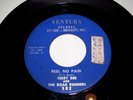 Garage /psych - Terry Dee & the road runners ( feel no pain) Ventura records